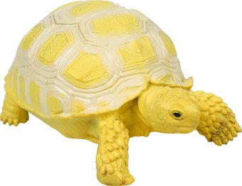 Фигурка Masai Mara Мир диких животных. Египетская черепаха MM218-374