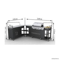 Газовый гриль для дачи VidaXL 160711