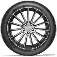 Зимние шины DoubleStar DW02 245/50R20 102T