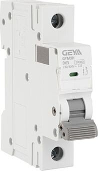 

Выключатель автоматический GEYA GYM9H-1P-63D 1P 63A D 10kA 1M GYM9H1P63D