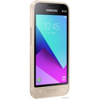 Смартфон Samsung J1 Mini Prime 2016 (золотистый) [J106F/DS]