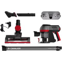 Пылесос Dirt Devil Cavalier [DD698-1]