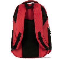 Городской рюкзак Paso 22-30060RE