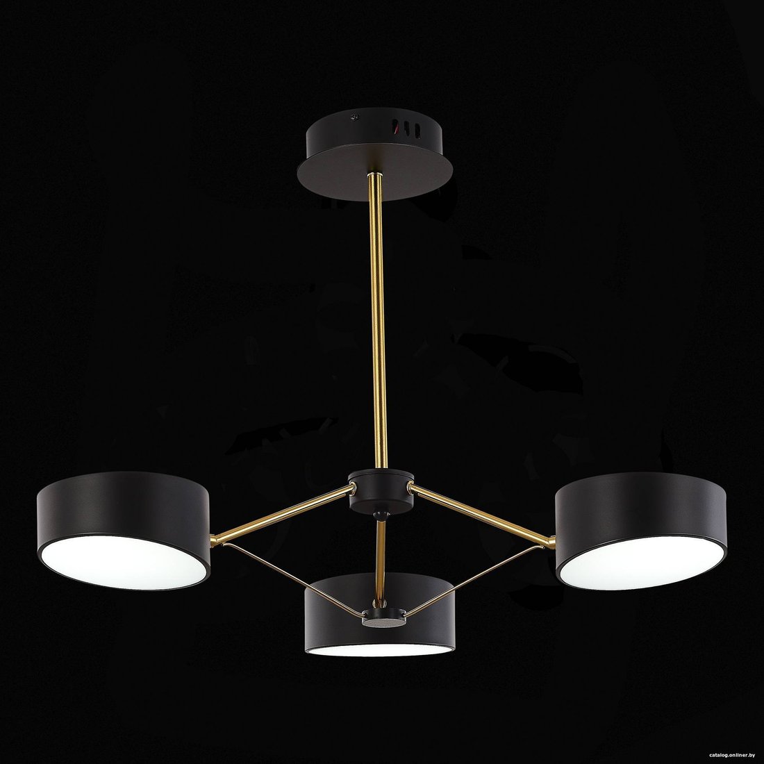 Подвесная люстра ST Luce SLE6005-402-03