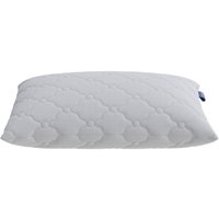 Спальная подушка PROxSON Terra Compack 50x70 (2 шт)