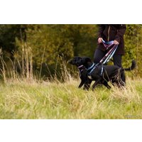 Поводок Halti Double Ended L (фиолетовый)