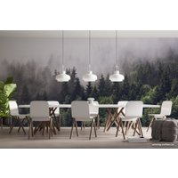 Фотообои ФабрикаФресок Туманный лес 195280 (500x280)