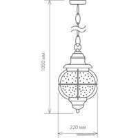 Уличный подвесной светильник Elektrostandard Regul H GLXT-1475H (черная медь)