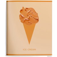 Полуобщая тетрадь Schoolformat Необычное мороженое ТОК48-НМО (48 л)