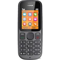 Кнопочный телефон Nokia 100