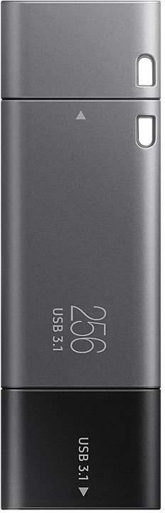

USB Flash Samsung DUO Plus 256GB (серый)