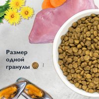 Сухой корм для кошек Brit Care Superpremium Anti-Hairball с белой рыбой и индейкой (вывод шерсти) 7 кг