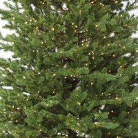 Ель GrandSiti Салерно плюс 2.1 м GS0996