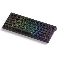 Клавиатура Akko TAC75 HE Black & White (Akko Glare Magnetic, нет кириллицы)