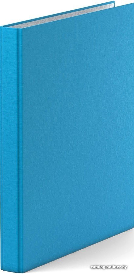 Папка-регистратор Erich Krause Neon 35 мм на 4 кольцаx 39060 (голубой)