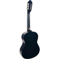 Акустическая гитара Valencia VC213 TBU