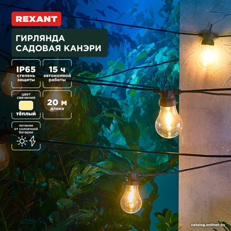 Светодиодная гирлянда Rexant Канэри 602-2423