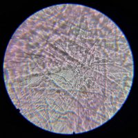 Детский микроскоп Микромед Эврика SMART 40х-1280х в текстильном кейсе 30233 в Гомеле