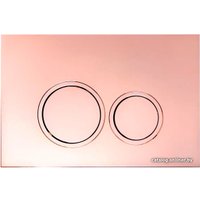 Панель смыва Cerutti CR02RG