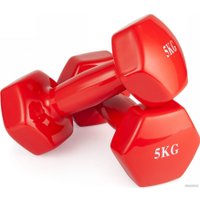 Гантель VictoryFit VF-DV050 5 кг