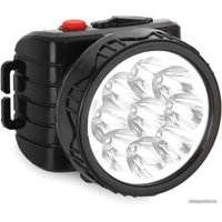 Фонарь Трофи TG9