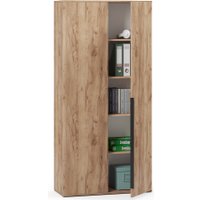 Шкаф распашной Soma Пятиуровневый закрытый ШК5.4 (дуб крафт золотой) в Борисове