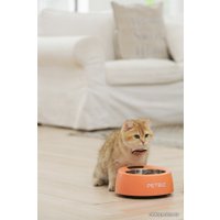 Кормушка электронная Petbiz Smart Bowl (коралловый)