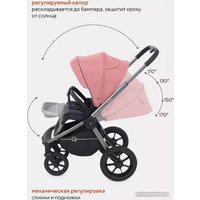 Универсальная коляска Rant Flex Pro RA074 2023 (2 в 1, pink)