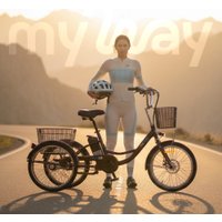 Электровелосипед MyWay Trike 350 Max 24 р.15 (черный)