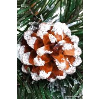 Ель Holiday Trees Альпийская Ш 2.5 м