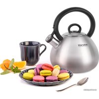 Чайник со свистком Rondell Calypso RDS-1307