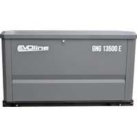 Газовый генератор Evoline GNG 13500 E в Лиде