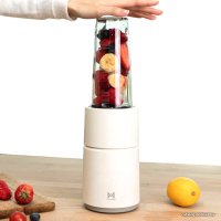 Стационарный блендер Pinlo Little Monster Cooking Machine YM-B05