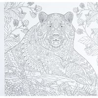 Книга издательства Проф-Пресс Раскраска-перевертыш. В животном царстве