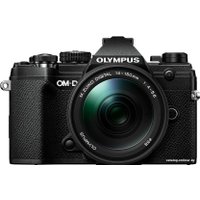 Беззеркальный фотоаппарат Olympus OM-D E-M5 Mark III Kit 14-150mm (черный)