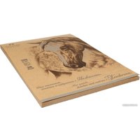 Планшет для акварели PALAZZO Нежность ПЛ-0035 (20 л)