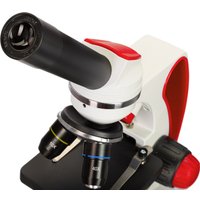 Микроскоп Levenhuk Discovery Pico Terra с книгой 77974