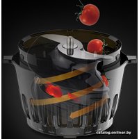 Соковыжималка Hurom H100S (бежевый)