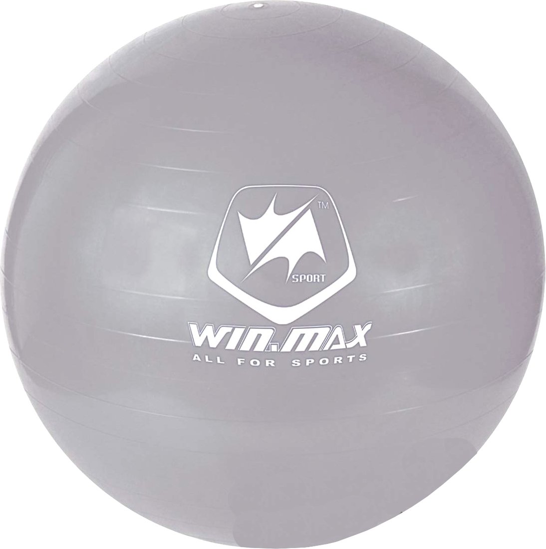 

Гимнастический мяч WIN.MAX WMF09648 (серый)