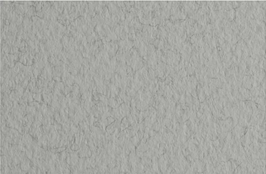 

Бумага для рисования Fabriano Tiziano 52551029 (серый холодный)