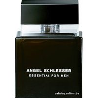 Туалетная вода Angel Schlesser Essential for men EdT (50 мл)