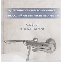 Смеситель Lauter Velvet 21СК6696С с лейкой Daisy 21S10167