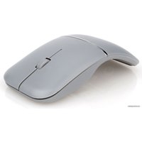 Мышь Гарнизон GMW-500-2