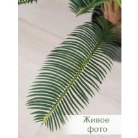 Искусственное растение Merry Bear Home Decor Пальма Саговая Цикас AR23065