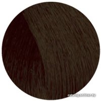 Крем-краска для волос Wild Color Permanent Hair 4N/S 180 мл