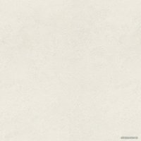 Виниловые обои Rasch Metal Spirit 977110