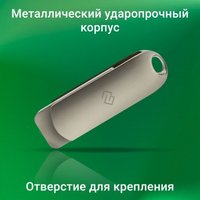 USB Flash Digma Drive 3 128GB DGFUM128A30SR в Орше