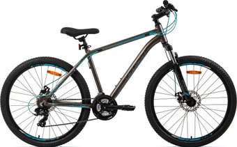 AIST Rocky 1.0 Disc 26 р.16 2024 (серый/синий)