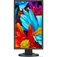 Монитор NEC MultiSync E224Wi Black/Black