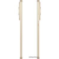 Телефон Huawei nova 11 FOA-LX9 8GB/256GB (золотистый)